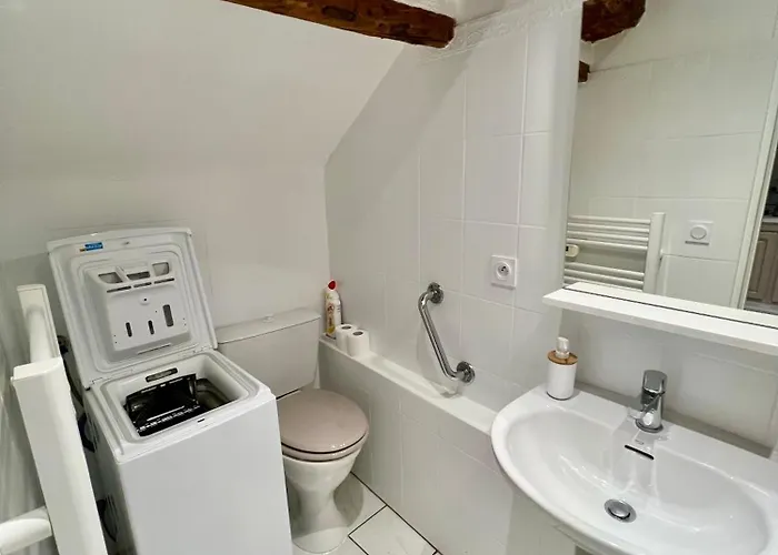 Superbe Neuf Et Cosy En Centre Lejlighed *